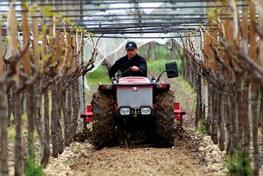 TN 6500, TC 8400F POWER E TIGRECAR 6500, COMFORT E AGILITA' NEL VIGNETO -  Economia e politica - AgroNotizie