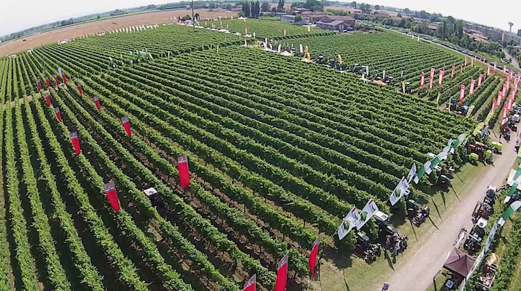 Enovitis in Campo 2018