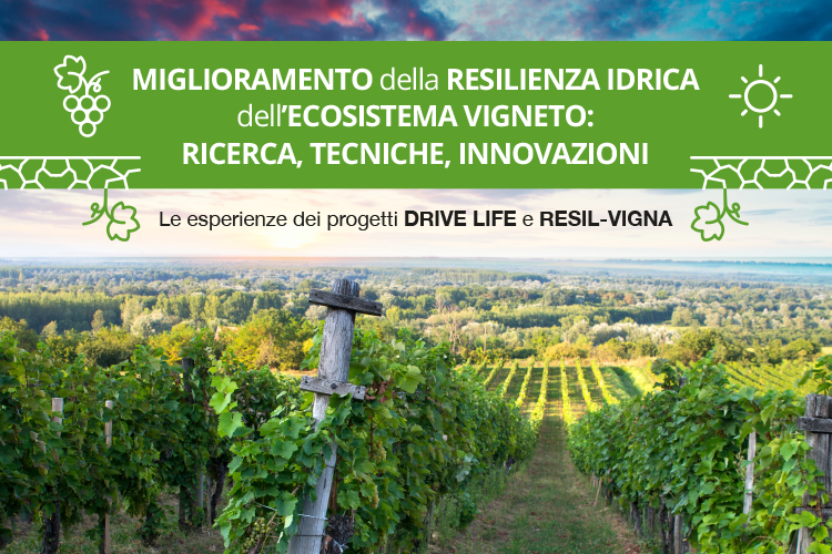 Resilienza idrica in vigneto, convegno organizzato da Università Cattolica e Image Line®