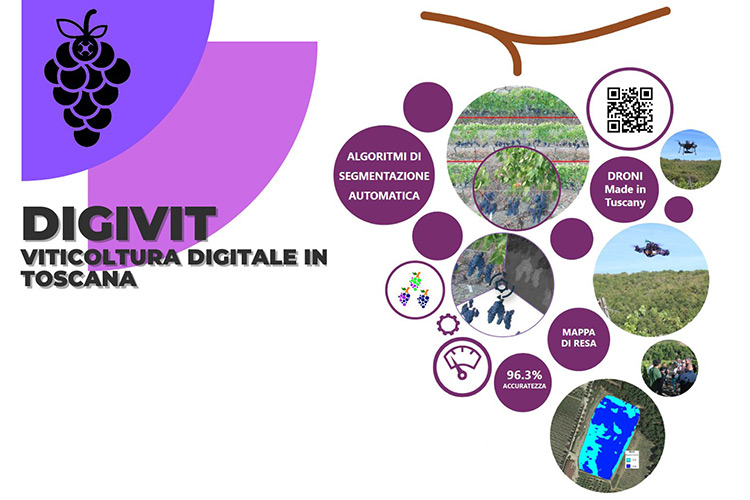 DigiViT: Image Line® partecipa al webinar sulla viticoltura digitale in Toscana