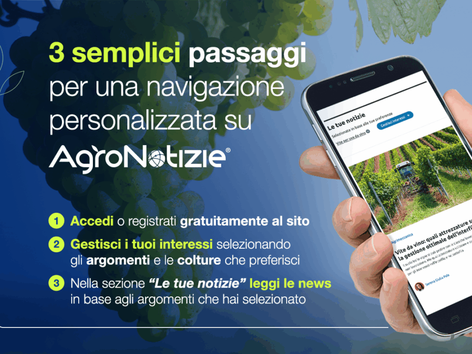 3 semplici passaggi per navigare su AgroNotizie in maniera personalizzata