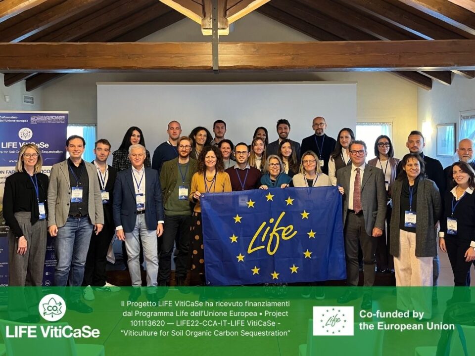 LifeVitiCase 22 novembre 2024