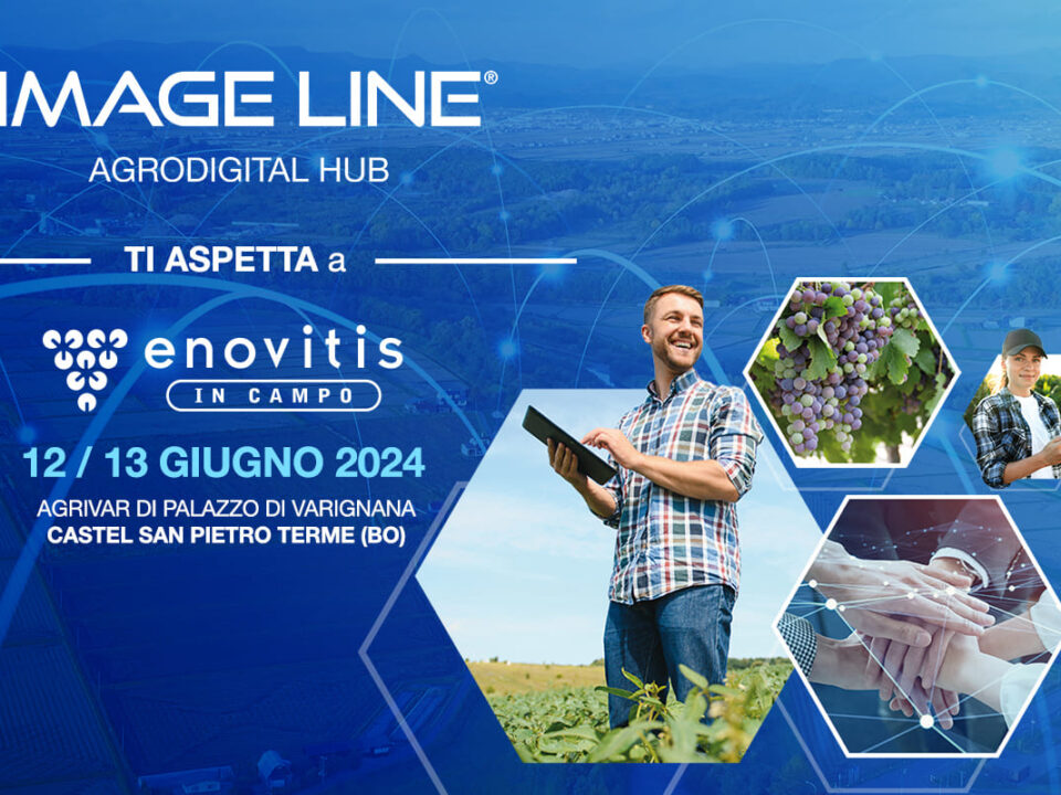 Enovitis in campo 2024 con Image Line