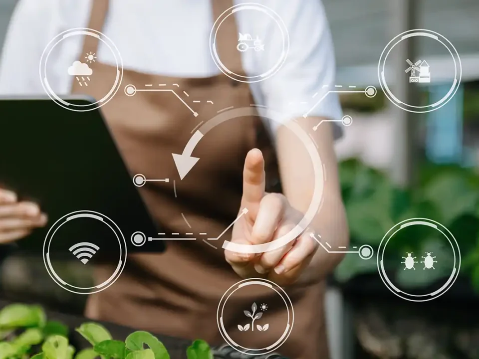 Progetti di innovazione in agricoltura e finanziamenti per digitale e sostenibilità