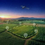 Piano Colturale Grafico e QdC® - Quaderno di Campagna®: l’importanza dell’aggiornamento continuo. Campo agricolo al tramonto con punti di geolocalizzazione sparsi