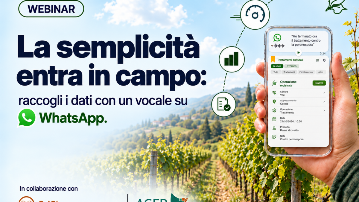 Vocale whatsapp in QdC