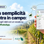 Vocale whatsapp in QdC