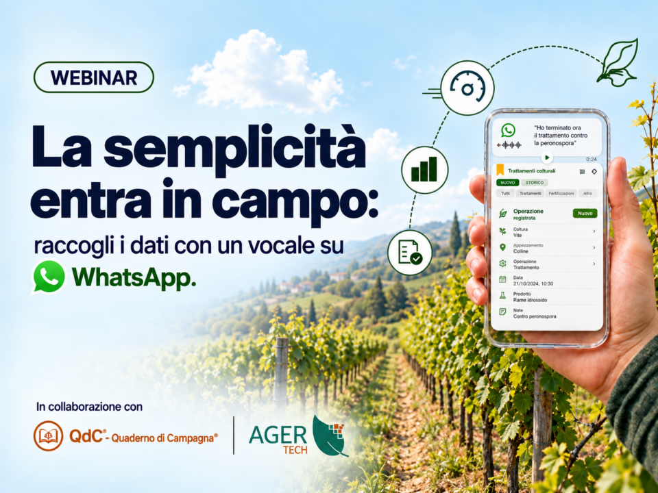 Vocale whatsapp in QdC